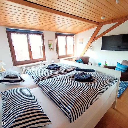Bodensee Privatzimmer "Haus Am Weinberg Konstanz" Ngoại thất bức ảnh